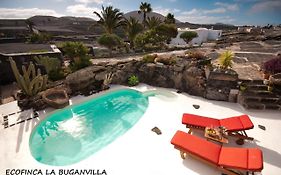 Ecofinca La Buganvilla (Adults Only)